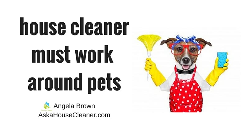 A house cleaner must work around pets Askahousecleaner.com