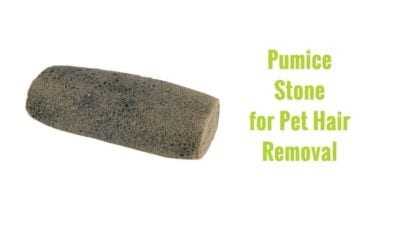 Pumice Stone for Pet Hair Removal