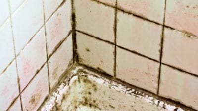 green cleaning woman has moldy nasty shower