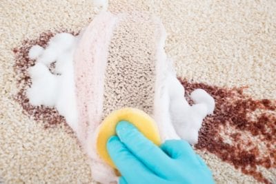 Cleaning Mistakes Scrubbing Carpet Stains Too Hard