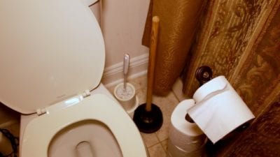 Cleaning Mistakes, Toilet Brush and Plunger