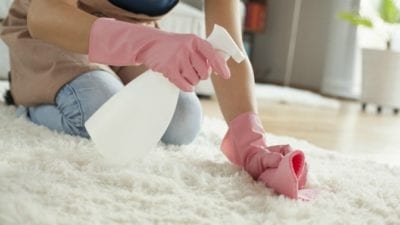 Bubble Gum cleaning carpet