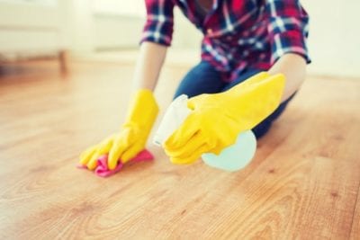 Dog Poo, House cleaner sanitizes floor