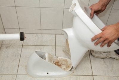 Survival Tool for House Cleaners, Broken Toilet-min