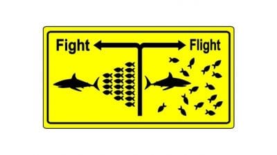 Survival Tool for House Cleaners, Graphic of Fight or Flight-min