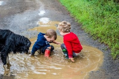 Dirty Dog Paws, Dog and Little Boys Playing in Puddle