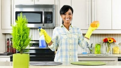 Organic Cleaning Supplies housecleaning business