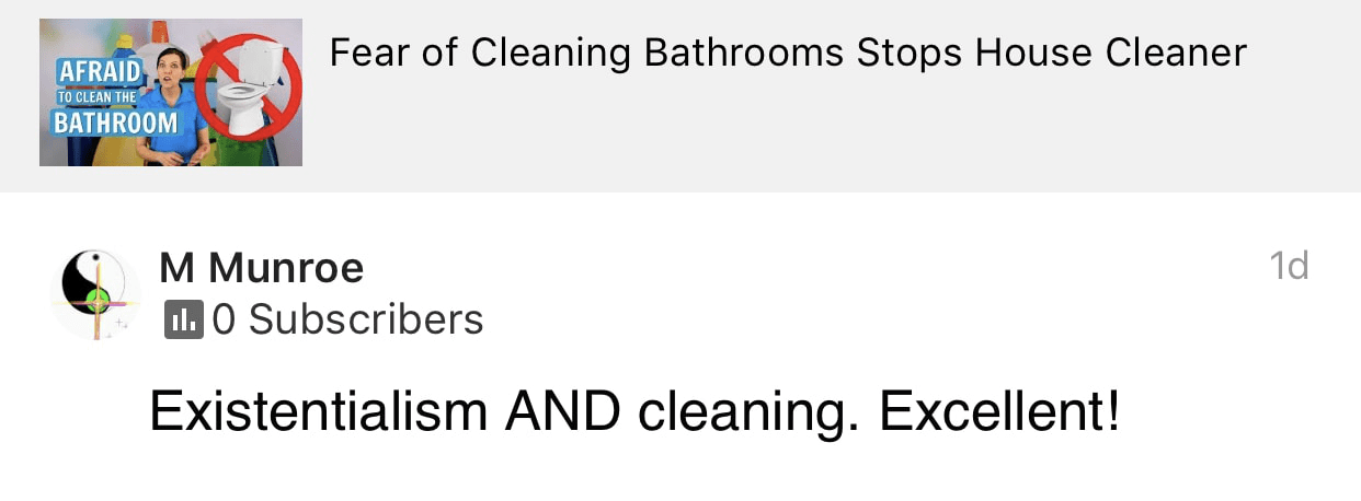 Existentialism and Cleaning Ask a House Cleaner Testimonial