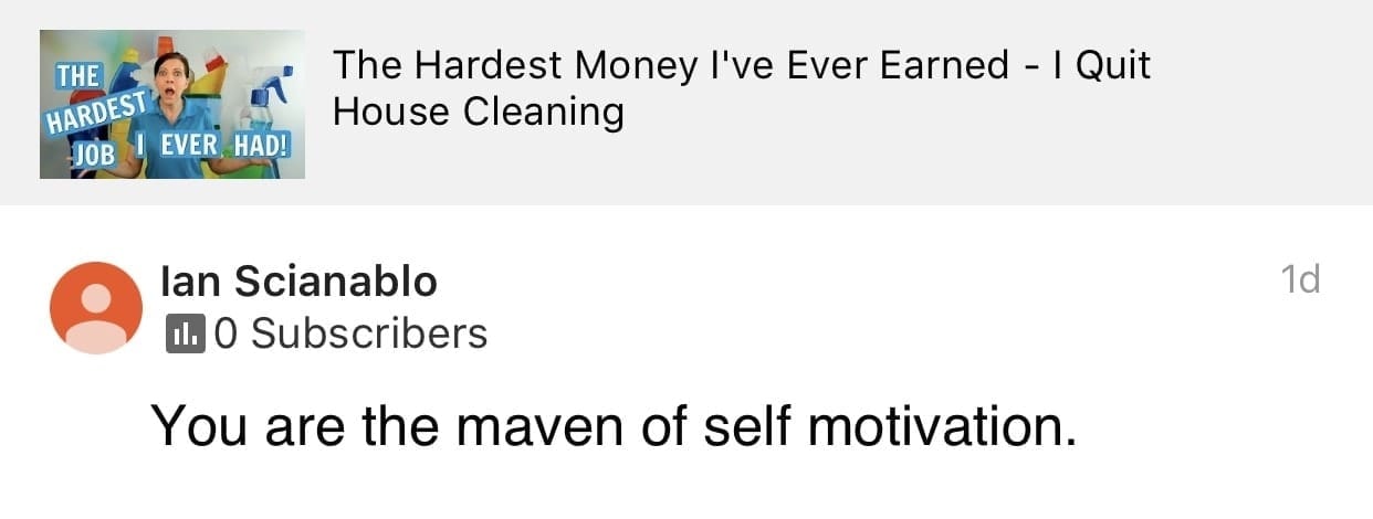The maven, Ask a House Cleaner Testimonial