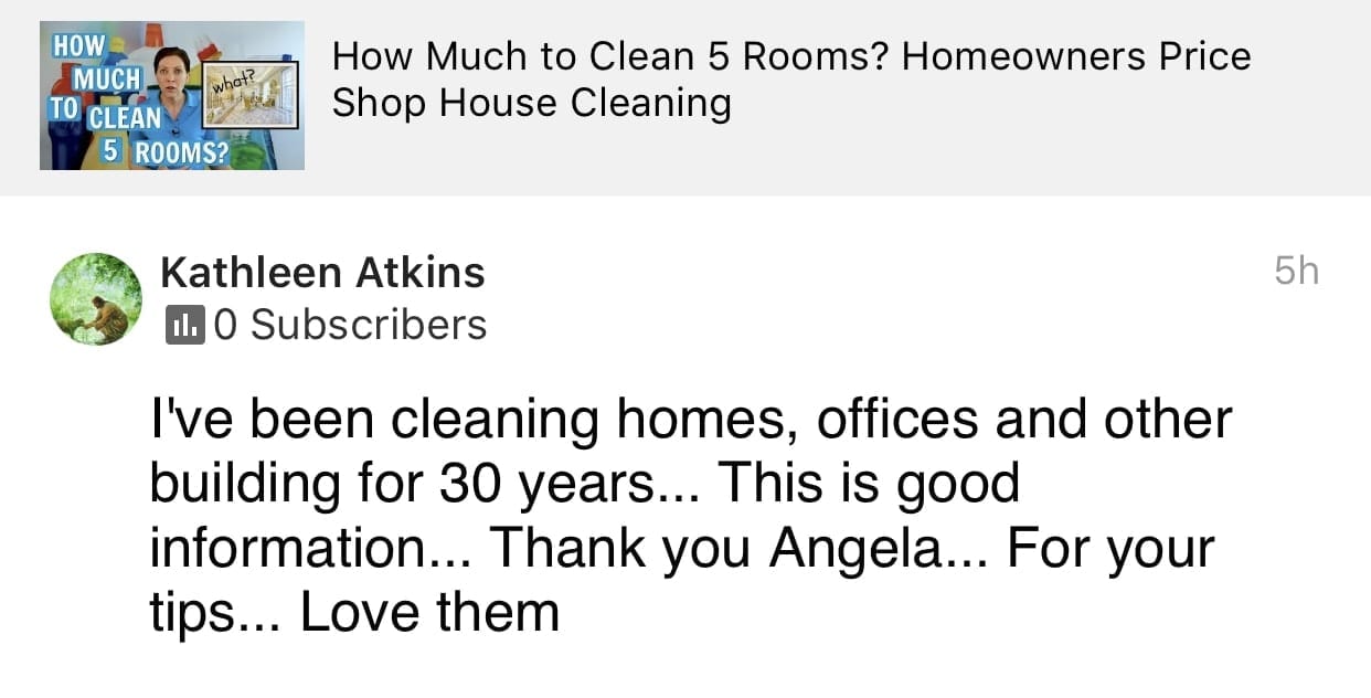 This is good information., Ask a House Cleaner Testimonial