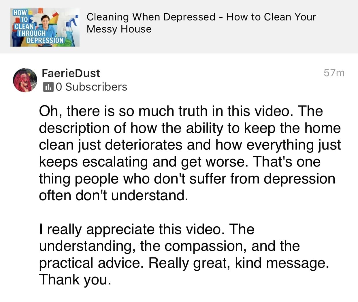 Truth in this video, Ask a House Cleaner Testimonial