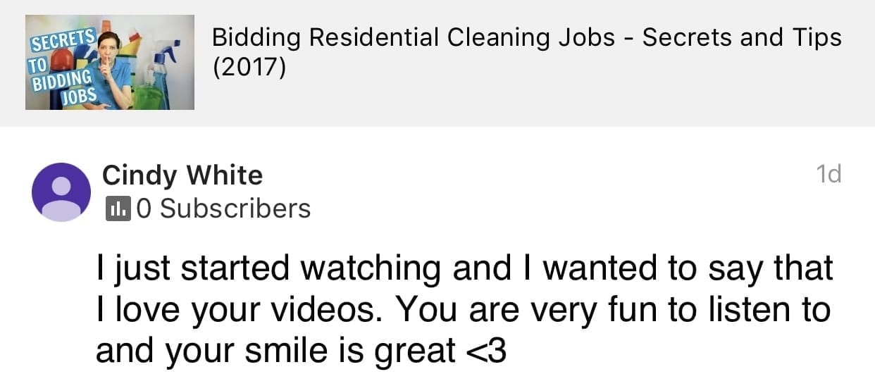 Very fun, Ask a House Cleaner Testimonial