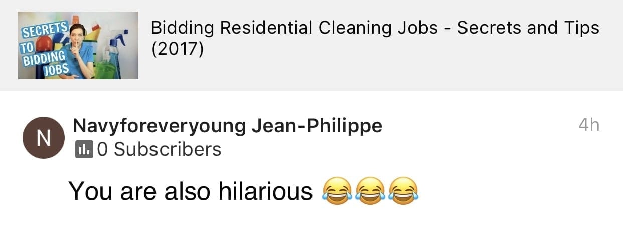 You are also hilarious, Ask a House Cleaner Testimonial
