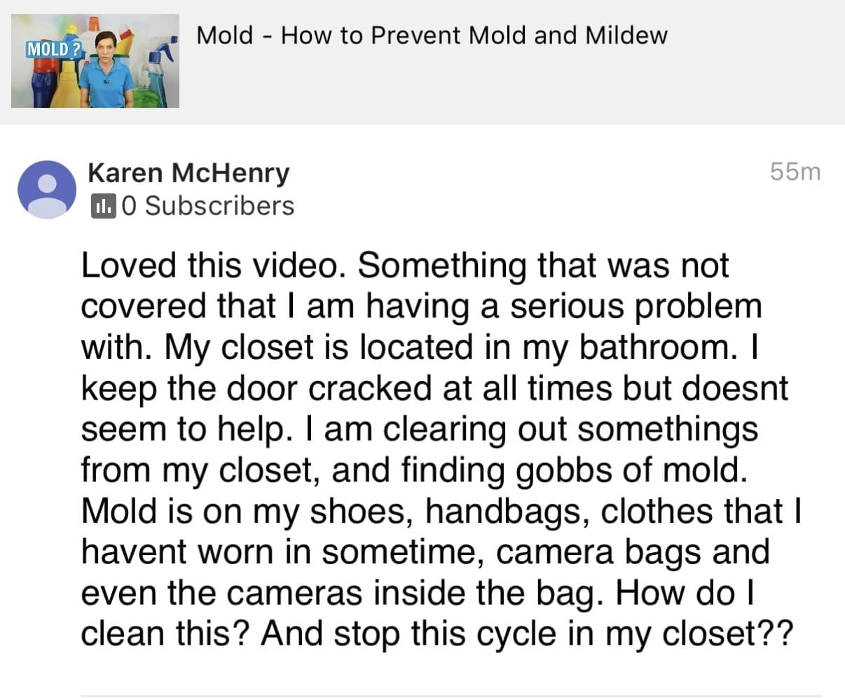 Loved this video, Ask a House Cleaner Testimonial