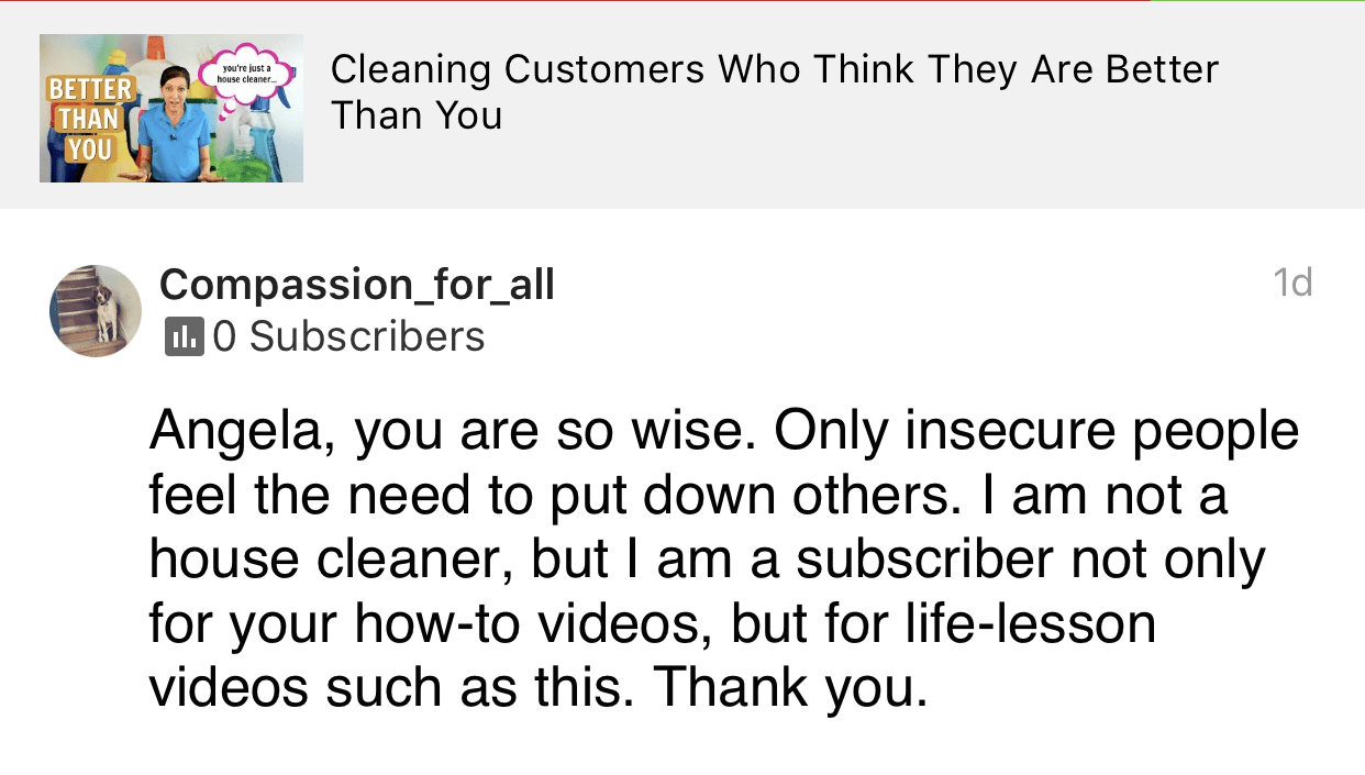 You are so wise, Ask a House Cleaner Testimonial