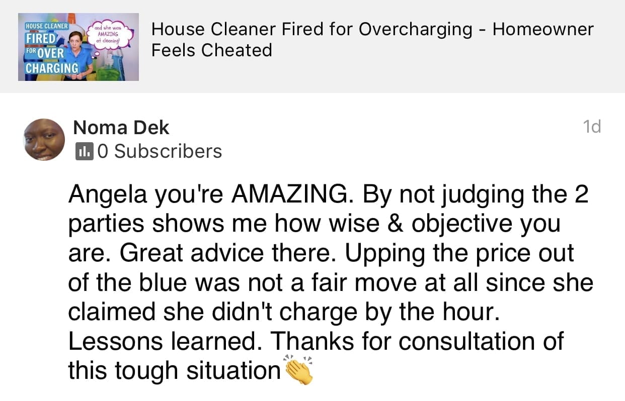 You're Amazing_2, Ask a House Cleaner Testimonial