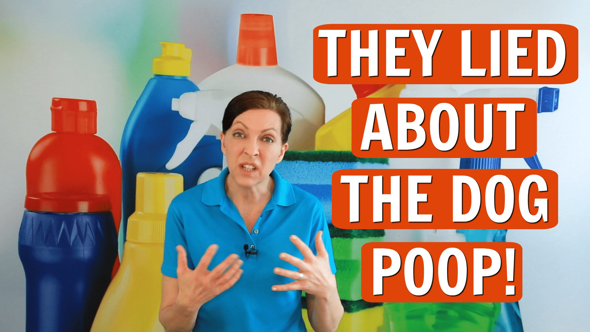 5 Lies You've Been Told About Dog Poop, Angela Brown, Savvy Cleaner