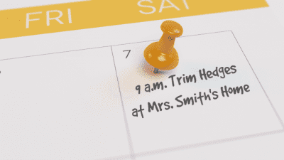 Amazing Upsells, Calendar, Trim Hedges at Mrs. Smith's Home
