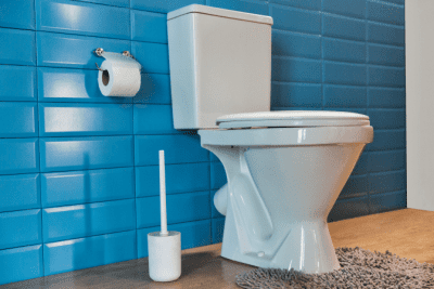 Cleaning Commercial Toilets, Toilet Brush and Toilet