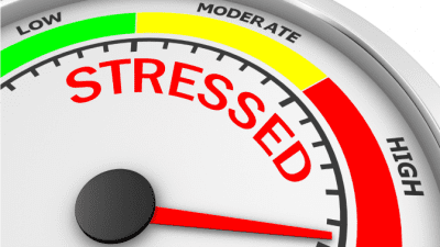 The Right Amount of Stress, Stress Meter