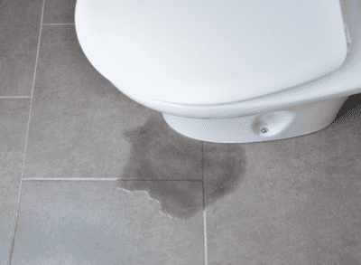 Mold and Mildew, Toilet Leak