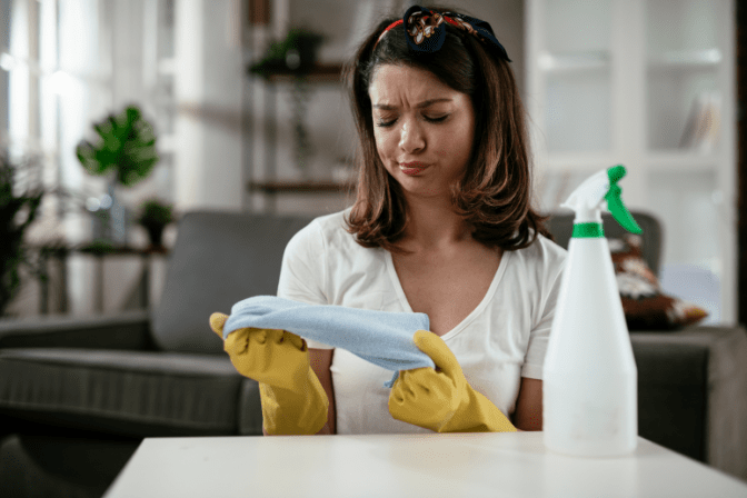 Talk To Your House Cleaner, Woman With Cloth